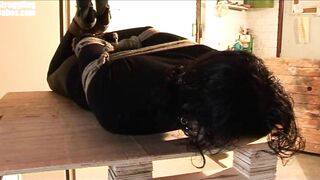 2016-09-01-adultprime-steffi-hogtied-ballgagged-forklifted_720