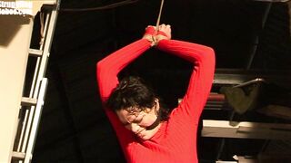 2016-09-01-adultprime-steffi-tied-up-and-cleavegagged_720