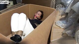 2016-09-01-adultprime-busty-erika-bound-ballgagged-titgrabbed_720
