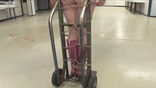 2016-09-01-adultprime-doll-delivery-service-05-lilly-on-transport_720