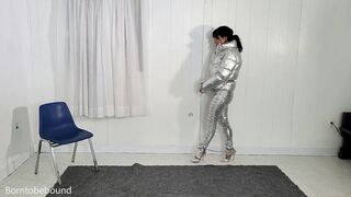 silverfull