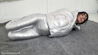 silverfull