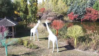 roccosteensunleashed4_s01_raulcosta_ashbywinter_540p