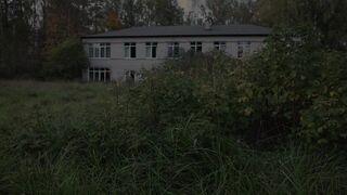 video-wet-wood_1080P
