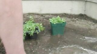 2018-06-29-clubdom--bare-foot-in-the-garden_1080p