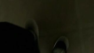 769-lexi-sd