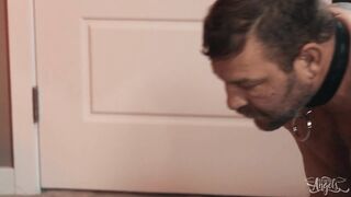 let-him-eat-cake_720