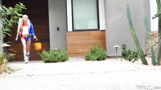 harlequin-halloween_720