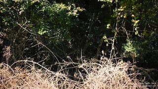 2017-10-15-young-goddess-kim-18488571-return-of-the-woodlands-witch-mp4-720p