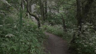 video-path-pee-puddle_1080P