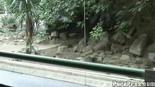 2011-03-25-498-zoo-slut_950