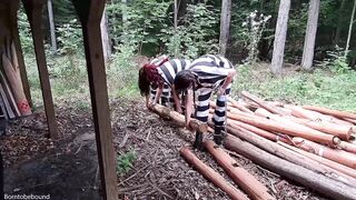 2023-11-29-working-on-a-chain-gang-part2