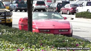 2010-08-31-28375-dumpster-diving_950