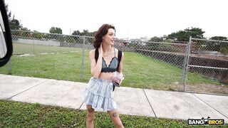 2024-01-24-9785181-shrooms-blooms-on-the-bang-bus_720