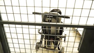 2019-12-11-Raven-arrested-at-work-part2