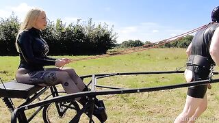 2023-11-08-pony-trap-training_IP