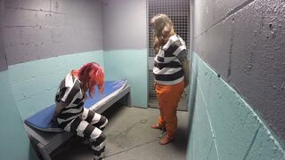 2019-07-16-Dog-thieves-arrested-part5