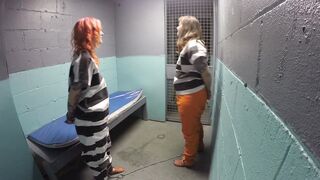 2019-07-16-Dog-thieves-arrested-part5