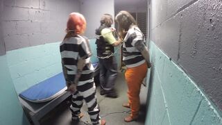 2019-07-16-Dog-thieves-arrested-part5