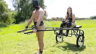 2018-04-11-1999-paddock-pony-performs_IP