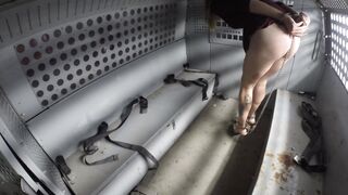 2019-08-10-Polly-brought-in-by-van-part1