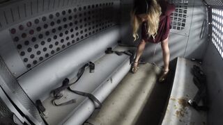 2019-08-10-Polly-brought-in-by-van-part1