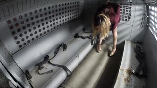 2019-08-10-Polly-brought-in-by-van-part1