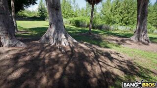 2022-11-16-8917901-hoe-on-the-bus_720