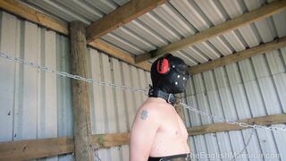 2021-08-16-2595-chained-for-milking_hd