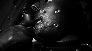 2009-05-27-632-the-english-mistress-the-spiders-web_mobile