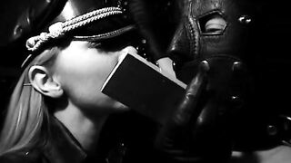 2009-05-27-632-the-english-mistress-the-spiders-web_mobile