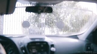 2019-01-22-144421-impregnating-the-sitter-540