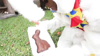 2014-04-18-kill113_1080