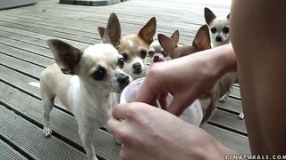 2018-09-14-133404-sharing-love-540