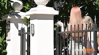 2025-11-19-3946499-gp3341-WEB