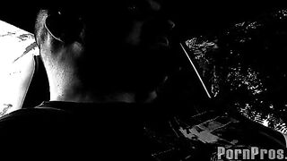 2009-11-10-15999-garden-fucking-whore_950