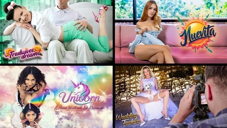 Compilation The Newest Ideas from Reptyle Labs