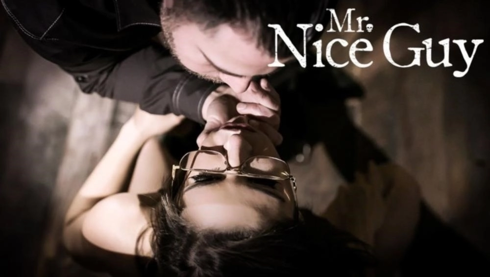 Mr. Nice Guy